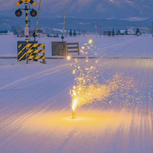 看大陆特级毛片
