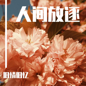 看大陆特级毛片
